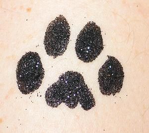 glitter-tattoo-bulldog-paw.jpg